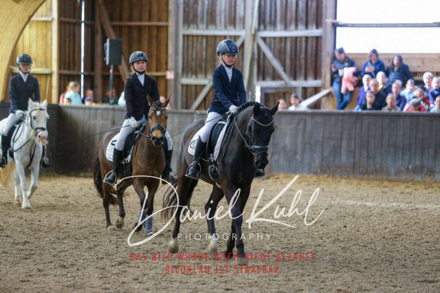 IMG_1064 | Turniersportfotografie; Pferdefotografie; Dressurfotografie