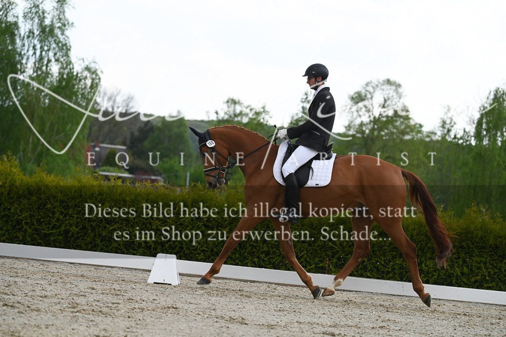 20230512_JK-Röhrsdorf-03-026 | Pferde- und Turnierfotografie in Westsachsen. Pferdeportraits, Auftragszeichnungen und intuitive Kunst.