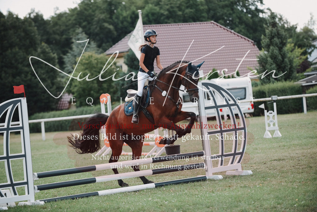 DSC_5722 | Pferde- und Turnierfotografie in Westsachsen. Pferdeportraits, Auftragszeichnungen und intuitive Kunst.