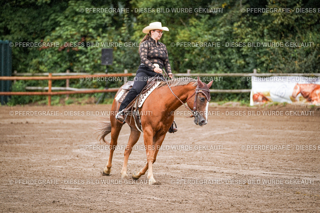 DSC05473 | Pferdegrafie