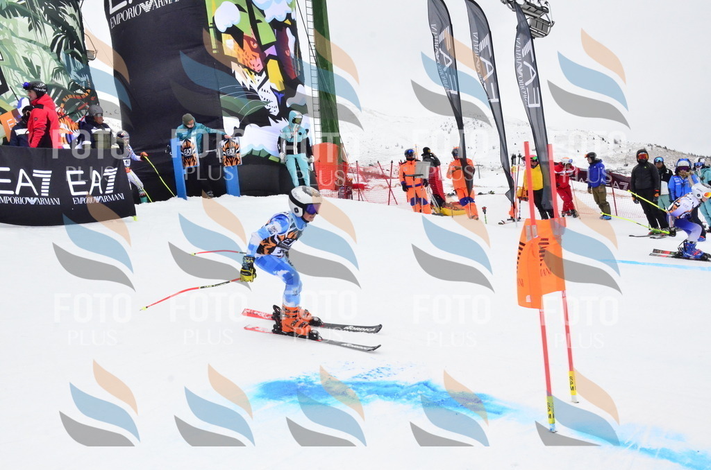 _ELE4058 | holidayphoto