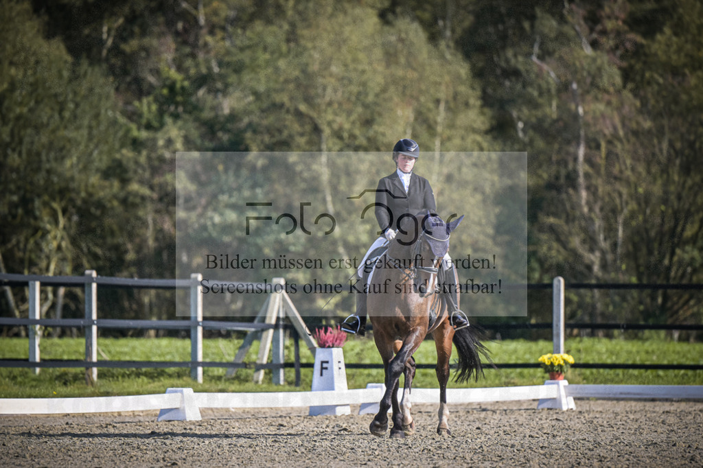 DOS_4704 | Entdecke hochwertige Reitturnierfotos von Foto Oger. Professionell, emotional und authentisch – jetzt Lieblingsmomente im Shop bestellen.Deutschlandweite Turnierfotografie. - Realisiert mit Pictrs.com
