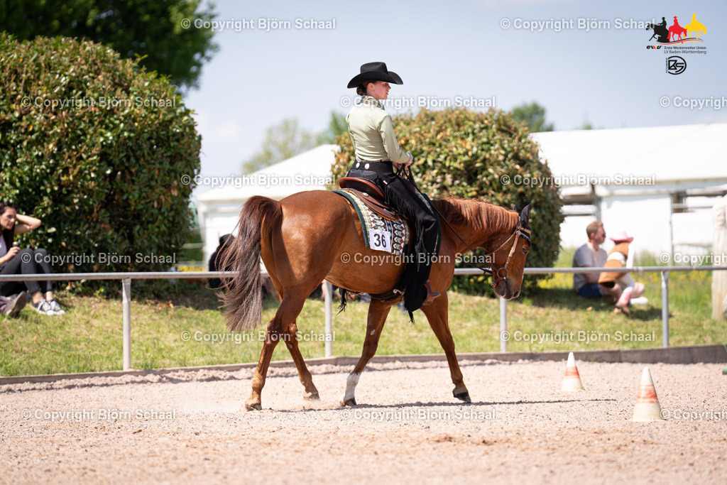 LMB07946 | BS-foto