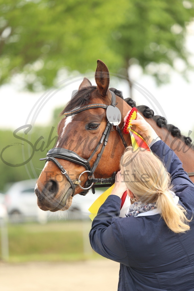 994A7978 | sabrinanicolaifotografie - Realisiert mit Pictrs.com