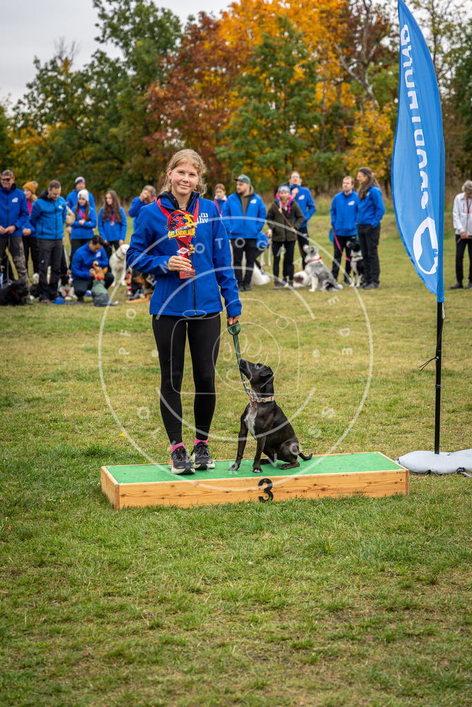 Pfotenfotografie_0L8A0432 | Hundefotografie, Tierfotograf, Pfotenfotografie, Fotoshooting Hund, Hunde Portrait, Hundesport, Hundeportraits, Heideshooting, Hunde, Sportfotograf, Hundefotograf, Turnierhundsport, THS,  - Realisiert mit Pictrs.com