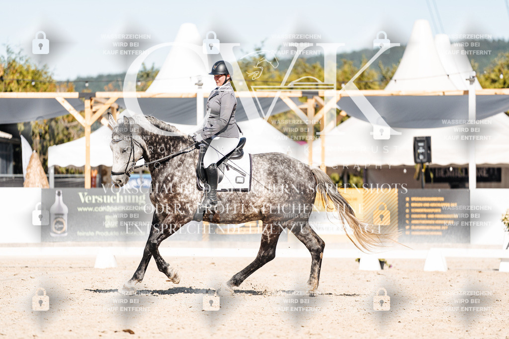 CK908283 | Turnierfotografie Pferdefotografie Trier Rheinland-Pfalz Pferdesport Reitsport Tierfotografie Sportfotografie Pferdevideo Pferdevideografie Equestrianvideography equestrianphotography  - Realisiert mit Pictrs.com