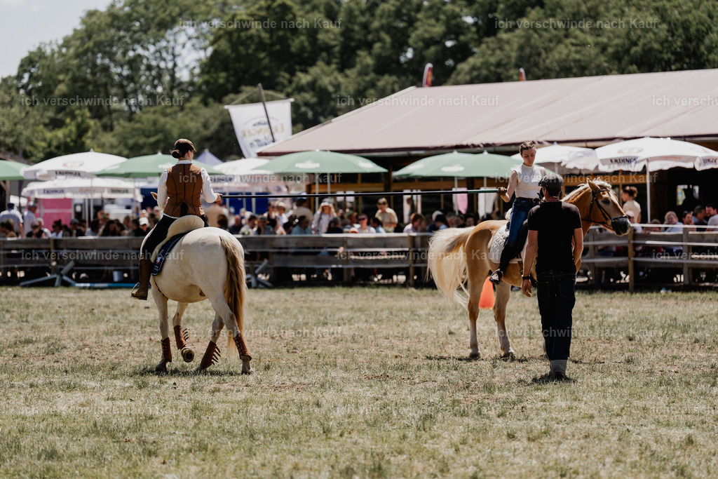_DSC6971 | working equitationturnier fotograf videograf stoibphotography marixx film working equitation deutschland reitsport turnierfotografie eventfotografie equestrian events