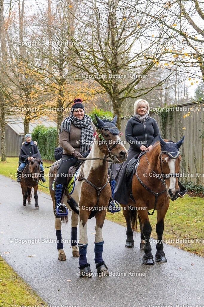 LL25-268 | foto-bettina-krinner - Realisiert mit Pictrs.com