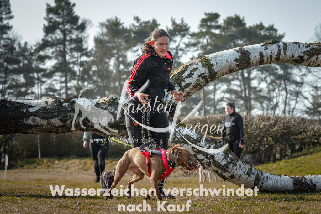 0948_ZZ90036 | kk-dogfotos