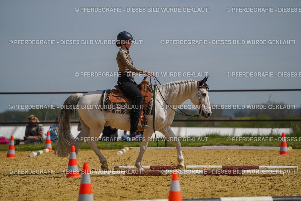 DSC04746 | Pferdegrafie