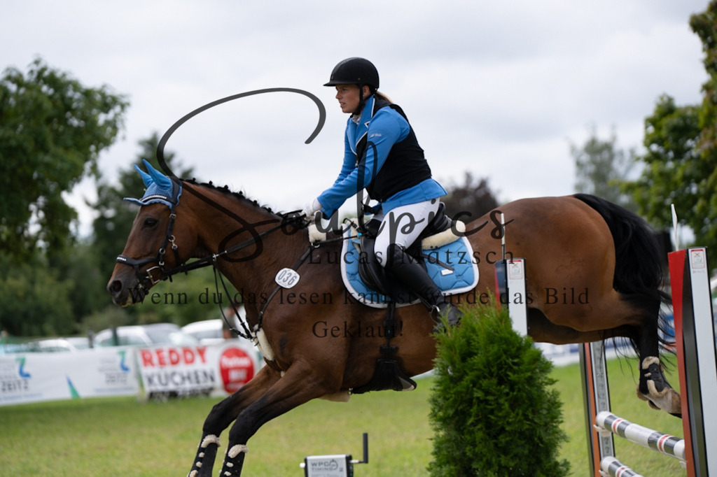 A7V05473 | Pferdefotograf