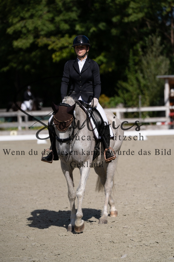 A7V07041 | Pferdefotograf