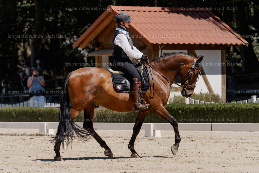 WE_DR_80_SinaFilmArt_IN03384 | working equitationturnier fotograf videograf stoibphotography marixx film working equitation deutschland reitsport turnierfotografie eventfotografie equestrian events
