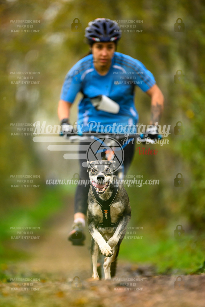 MompixPhotography_20TSB_E6_DS1-53 | PayLife