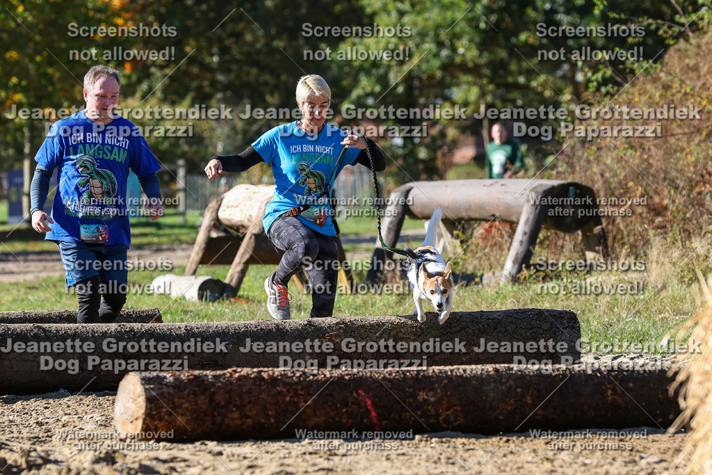 Dog Paparazzi - Strongdog 10-25-2657 | Dog Paparazzi Jeanette Grottendiek Fotografie & Videografie - Realisiert mit Pictrs.com