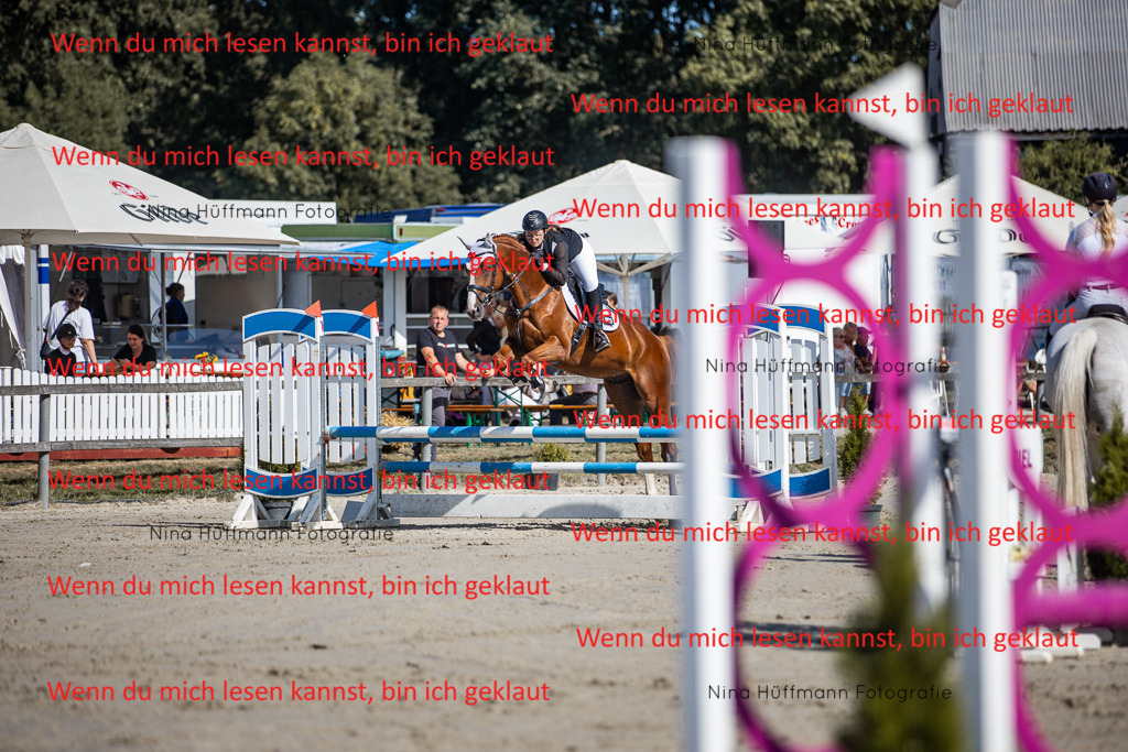 BK1A7078 | Turnierbilder Turnierfotos Nina Hüffmann Turnierfotografie Pferdefotografie Tierzeichnung Haustierzeichnung Pferdezeichnung Hundezeichnung Videograf  - Realisiert mit Pictrs.com
