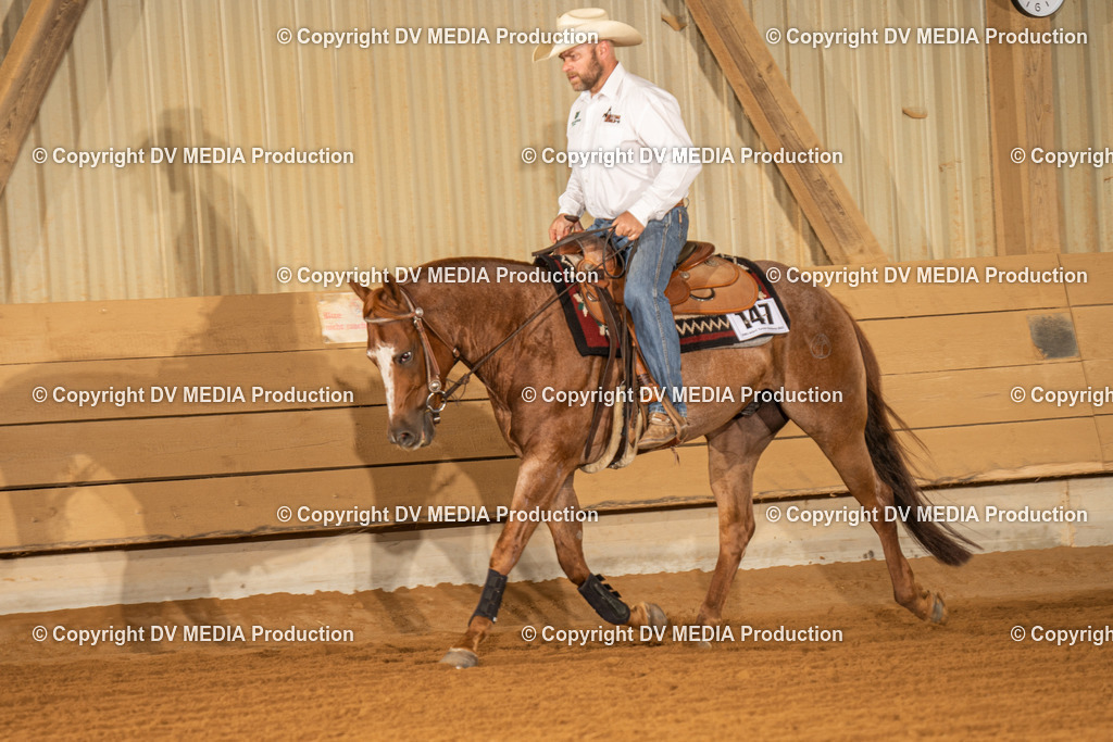 NID01800 | dv-media-shop - Realisiert mit Pictrs.com