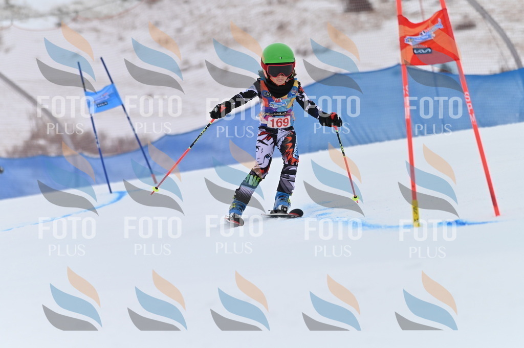 BGV_0533 | holidayphoto