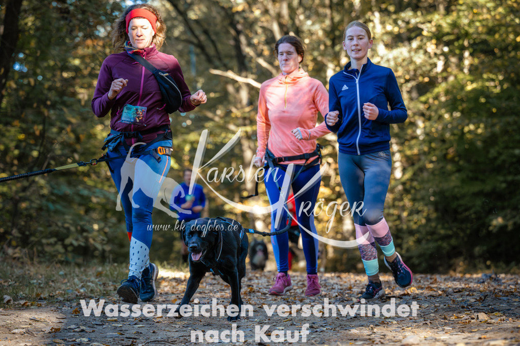 1017_ZZ99601 | kk-dogfotos
