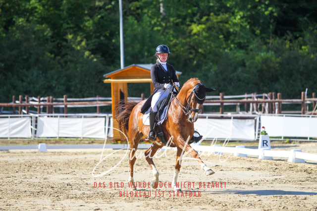 DKP42706 | Turniersportfotografie; Pferdefotografie; Dressurfotografie