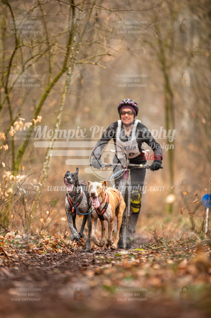 Reiat2023_SON_DS2_5km_2H-10 | mompixphotography