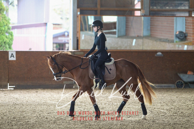DKP42589 | Turniersportfotografie; Pferdefotografie; Dressurfotografie