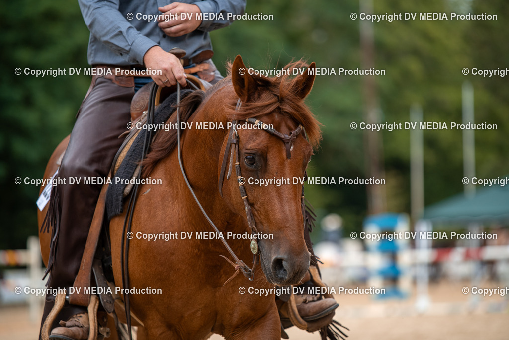 ZS2_8489 | dv-media-shop - Realisiert mit Pictrs.com