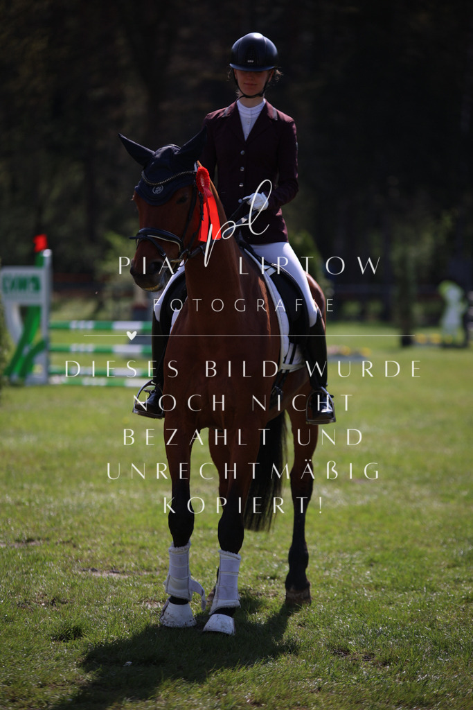 IMGT5544 | pl-fotografie