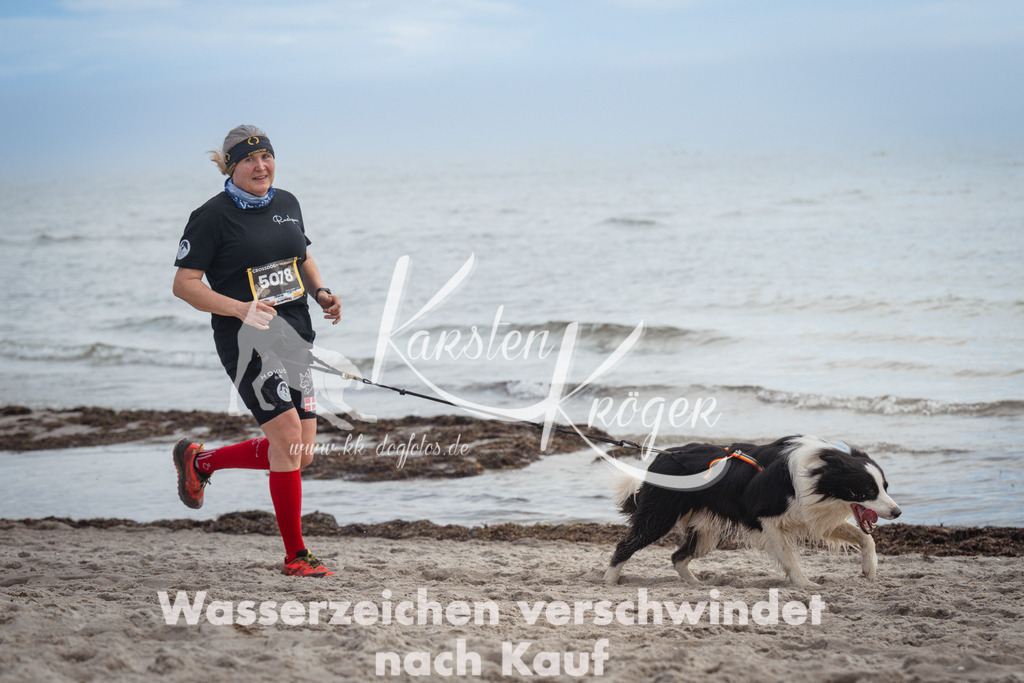 1145_ZZ90696 | kk-dogfotos