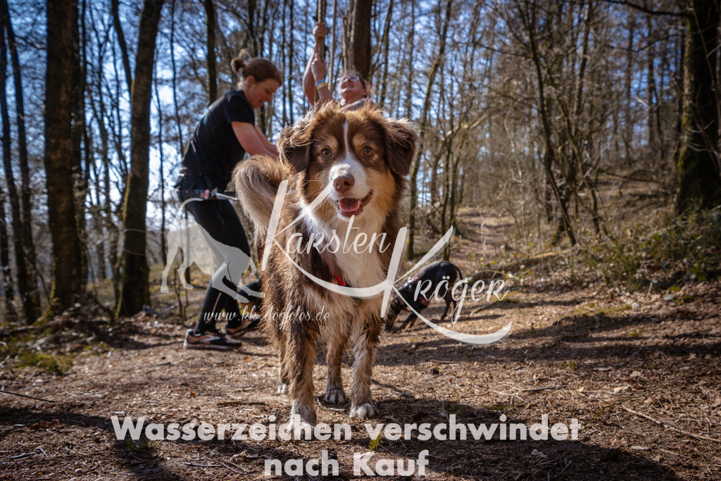 1128_ZZ98321 | kk-dogfotos