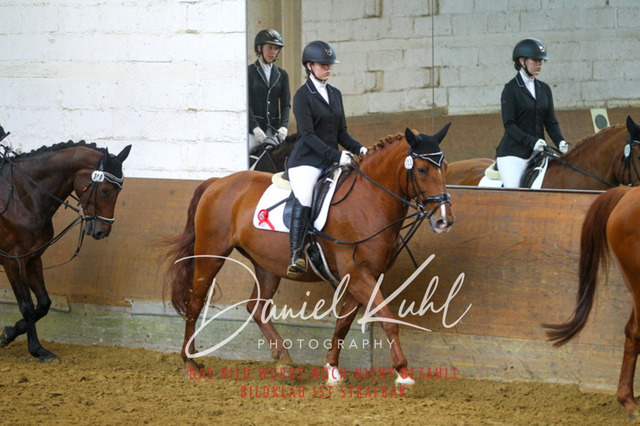 DKP43773 | Turniersportfotografie; Pferdefotografie; Dressurfotografie