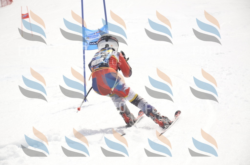 _ELE8807 | holidayphoto