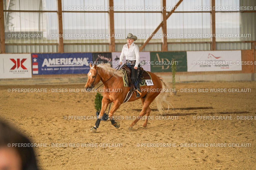 DSC02612 | Pferdegrafie