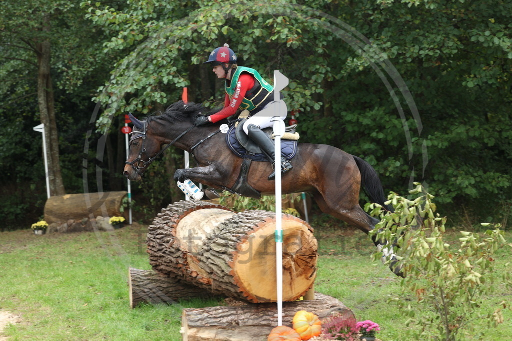 994A3252 | sabrinanicolaifotografie - Realisiert mit Pictrs.com