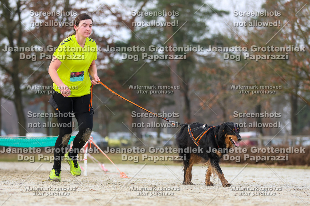 Dog Paparazzi - Strongdog North Mrz26-3741 | Dog Paparazzi Jeanette Grottendiek Fotografie & Videografie - Realisiert mit Pictrs.com