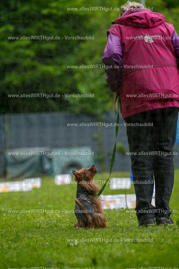 @allesWIRTHgut_Tierfotografie - www.allesWIRTHgut.de - 130741-7R509816 | Professionelle Tierfotografie in Mönchengladbach von Daniel Wirth (allesWIRTHgut). Liebevolle & natürliche Bilder von Hunden & Katzen für unvergessliche Erinnerungen.