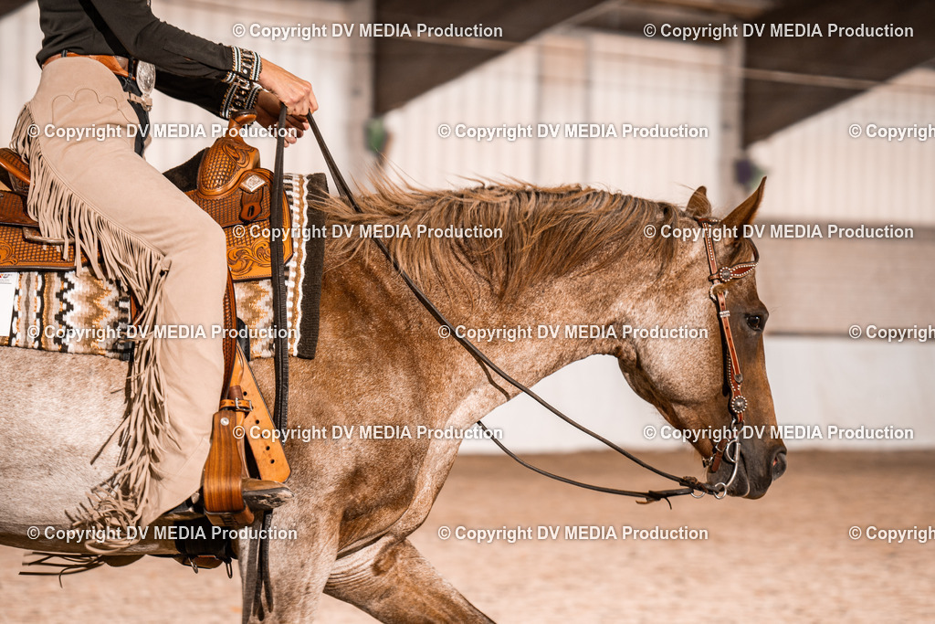 ZH100157 | dv-media-shop - Realisiert mit Pictrs.com