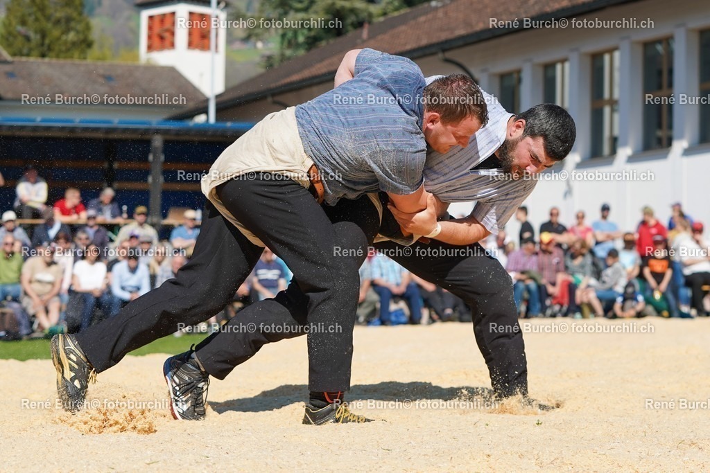 20220418-DSC07807 | René Burch leidenschaftlicher Fotograf aus Kerns in Obwalden.  Hier finden sie Sport, Landschaft und Natur Fotografie.
 - Realisiert mit Pictrs.com