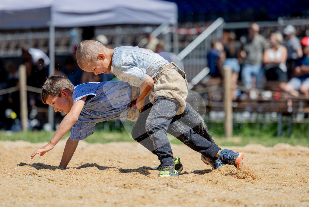 SchwyzerJung2026_00070 | Die Schwinger des Schwyzer Kantonalen Schwingerverbandes: Fotos, die Dynamik und Leidenschaft festhalten, sowie emotionale Momente aus dem traditionellen Schwingsport zeigen. - Realisiert mit Pictrs.com