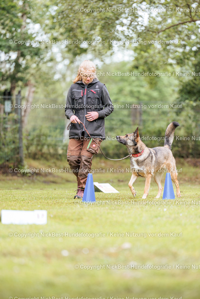 RO-Blumenthal-2026-Nickbest-Hundefotografie-4965 | Dein Hund! Dein Moment! Deine Erinnerungen! Hundefotografie in Bremen Blumenthal. Ich fange die besonderen Momente deines Vierbeiners ein – ob Indoor mit Blitzanlage oder in der freien Natur. Sicher dir dein Moment und dein Termin für eure Erinnerungen.