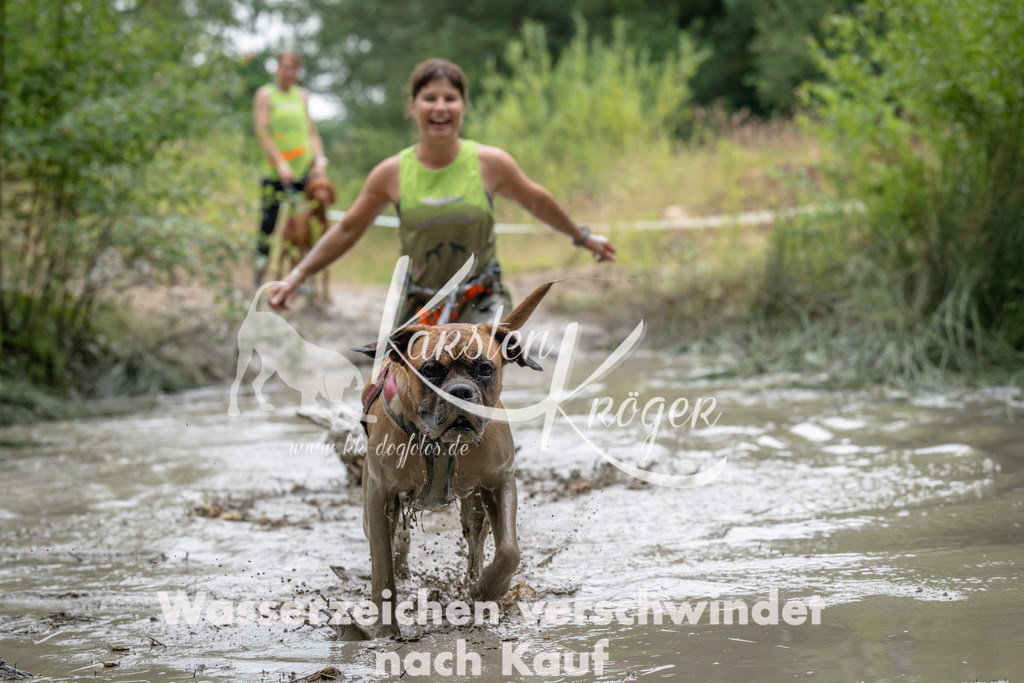 1436_ZZ92045 | kk-dogfotos