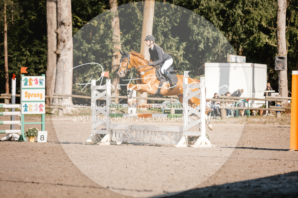 3I6A3626 | Stimmungsvolle Portraits und Reitsportfotografie im Ruhrgebiet und im Münsterland.

Pferdefotografie, Hundefotografie, Tierfotografie, Reportagen, Portraits von Tier und Mensch, Turnierfotografie in Bochum, Recklinghausen, Marl, Haltern am See, Dülmen.. - Realisiert mit Pictrs.com