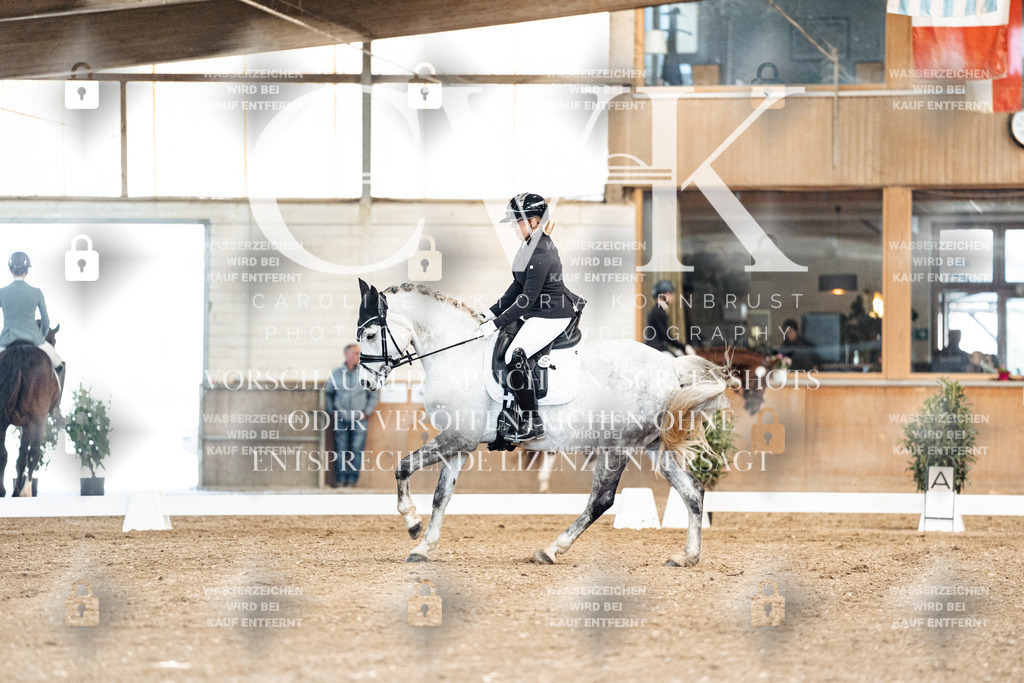 CK900879 | Turnierfotografie Pferdefotografie Trier Rheinland-Pfalz Pferdesport Reitsport Tierfotografie Sportfotografie Pferdevideo Pferdevideografie Equestrianvideography equestrianphotography  - Realisiert mit Pictrs.com