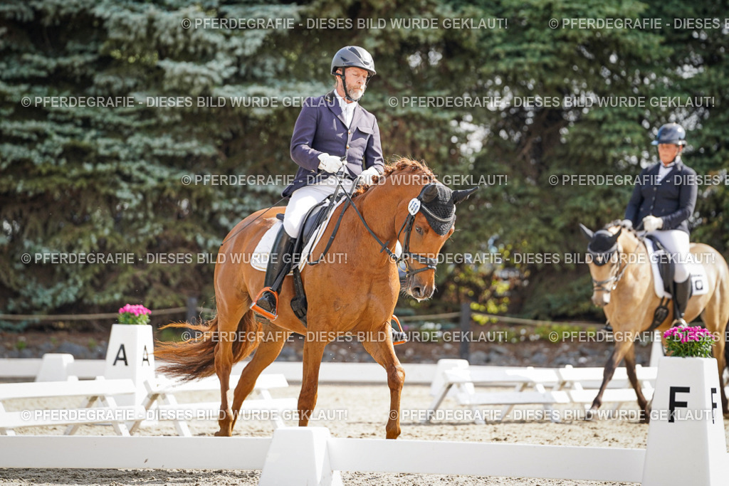 DSC06703 | Pferdegrafie