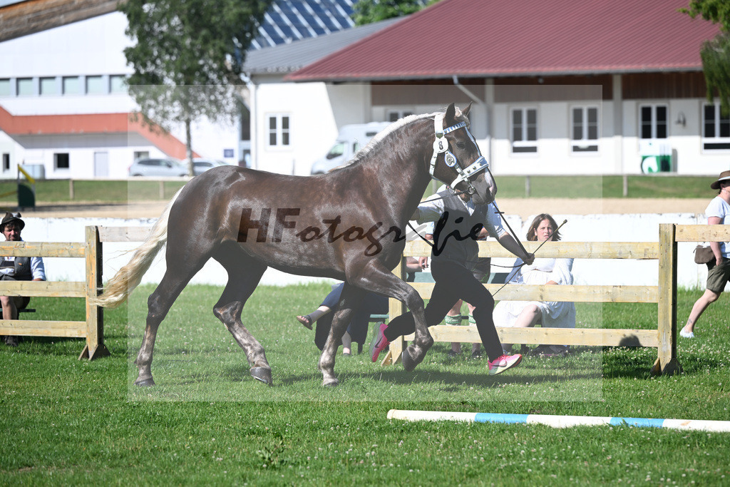 Kat-Nr. 8 Franzi v. Variano_Walter_18250123 | hf-fotografie - Realizzato con Pictrs.com