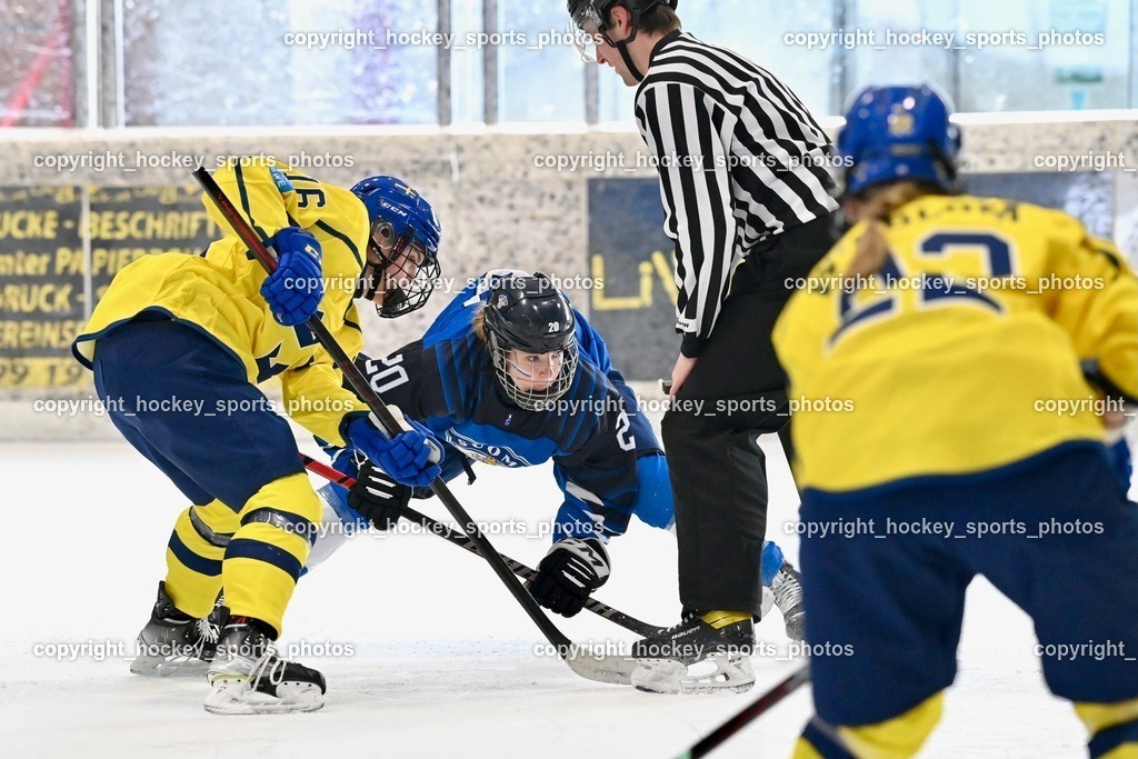 BST_5298 | hockey sports photos, Pressefotos, Sportfotos, hockey247, win 2day icehockeyleague, Handball Austria, Floorball Austria, ÖVV, Kärntner Eishockeyverband, KEHV, KFV, Kärntner Fussballverband, Österreichischer Volleyballverband, Alps Hockey League, ÖFB, 
