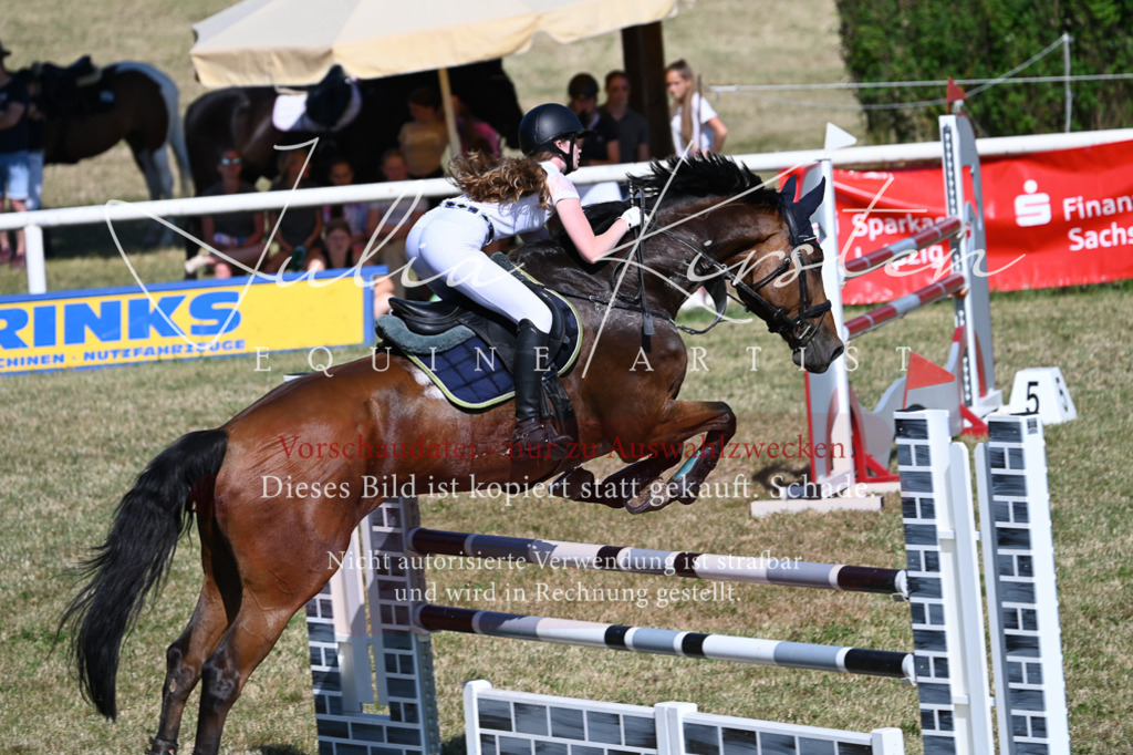 DSC_1897 | Pferde- und Turnierfotografie in Westsachsen. Pferdeportraits, Auftragszeichnungen und intuitive Kunst.