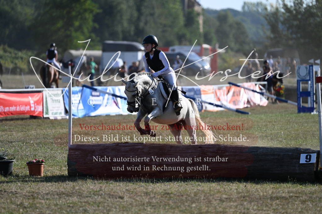 DSC_8953 | Pferde- und Turnierfotografie in Westsachsen. Pferdeportraits, Auftragszeichnungen und intuitive Kunst.