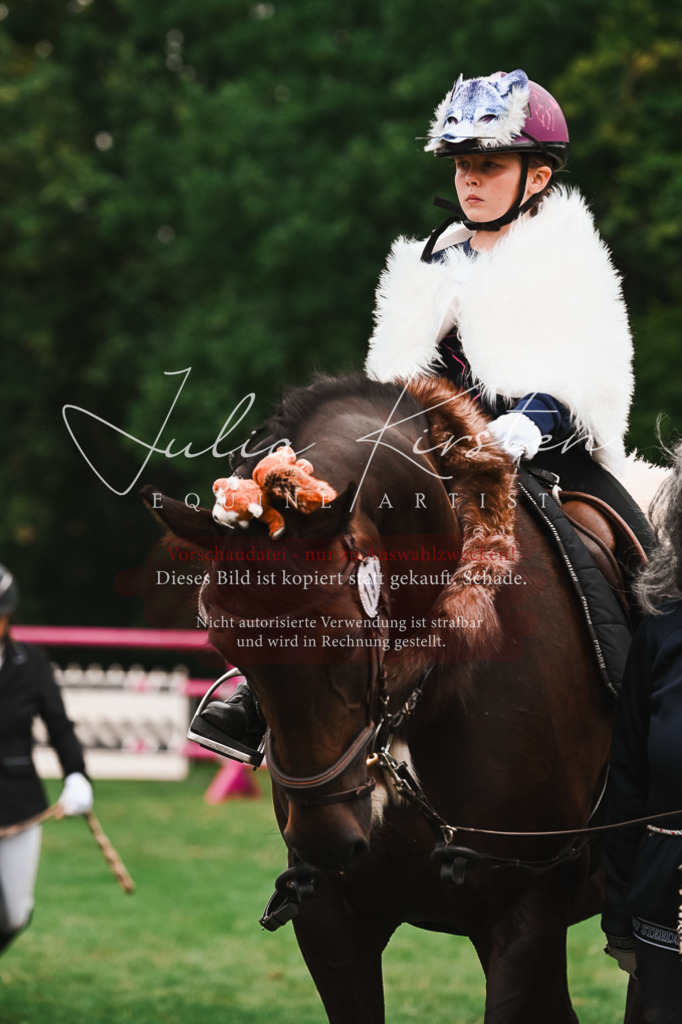 DSC_7552 | Pferde- und Turnierfotografie in Westsachsen. Pferdeportraits, Auftragszeichnungen und intuitive Kunst.