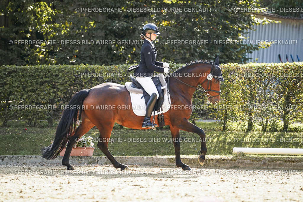 DSC07240 | Pferdegrafie